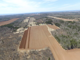 Overview of field during planting